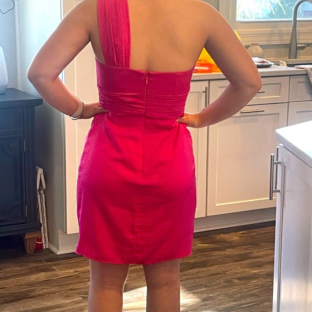 BCBG Palais Cocktail Dress. Size 8